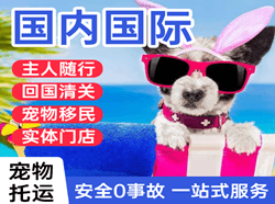 萨尔图机场货运国际宠物托运 【国